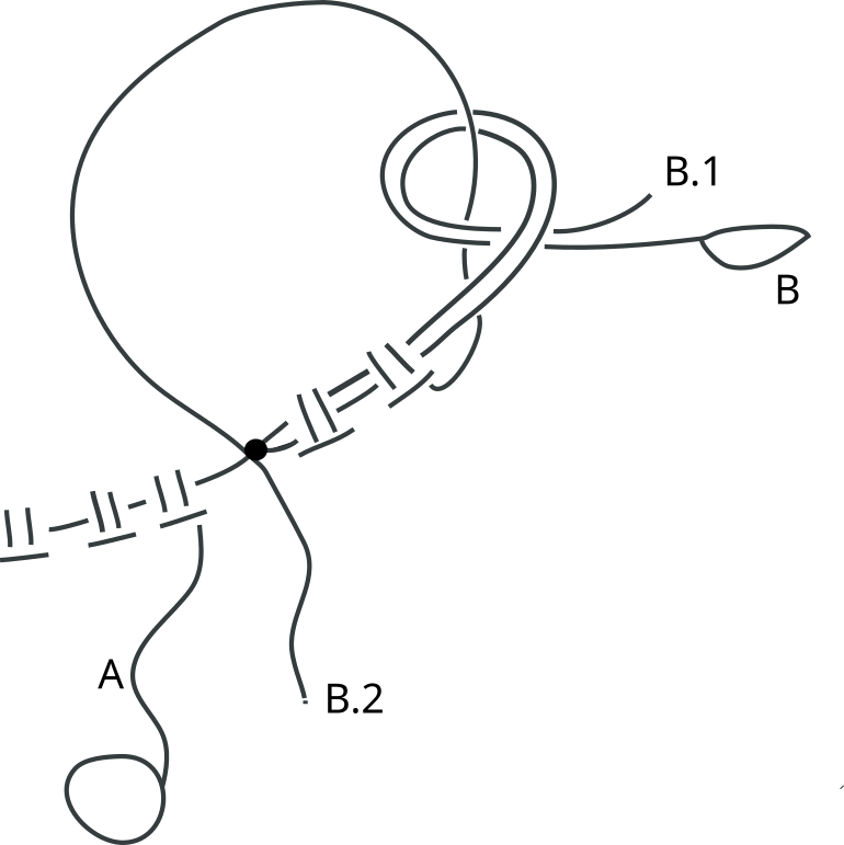 Schematische Darstellung, wie man ein Fadenende in einem Occhiring unter den Doppelnoten versteckt (überschürzt)