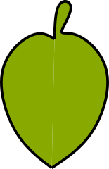 ein stilisiertes grünes Blatt 