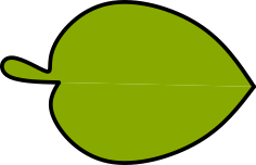 stilisiertes grünes Blatt im Querformat